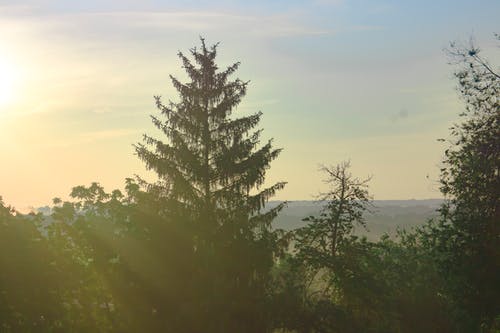 有关天空, 太陽, 日落的免费素材图片