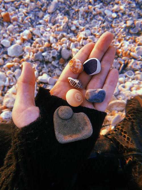 拿着白色和黑色的石头的人 · 免费素材图片