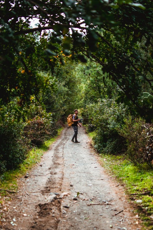 有关人, 人行道, 回头看的免费素材图片