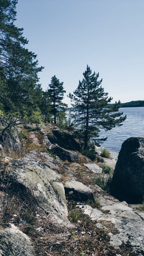 有关冷静, 华丽的, 和平的的免费素材图片