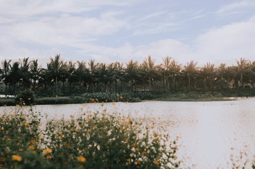 有关冷静, 地平线, 夏天的免费素材图片