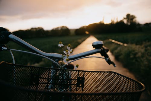 有关休息, 冷静, 和平的的免费素材图片