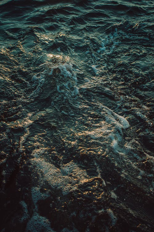 有关光, 冷静, 华丽的的免费素材图片