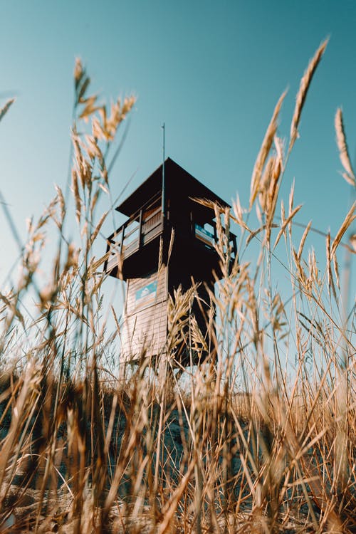 有关乾的, 低角度, 光的免费素材图片