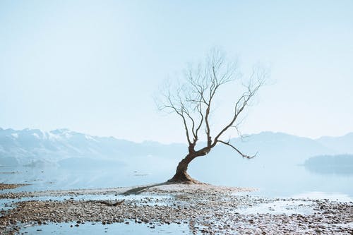 有关冬季, 冰, 冷的免费素材图片