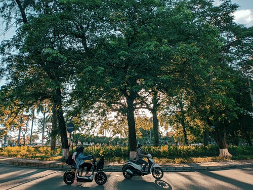 有关休闲, 摩托车, 树木的免费素材图片