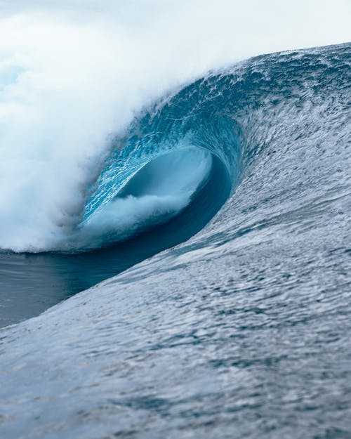 有关垂直拍摄, 天, 天性的免费素材图片
