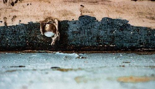 有关白色, 窗, 紋理的免费素材图片