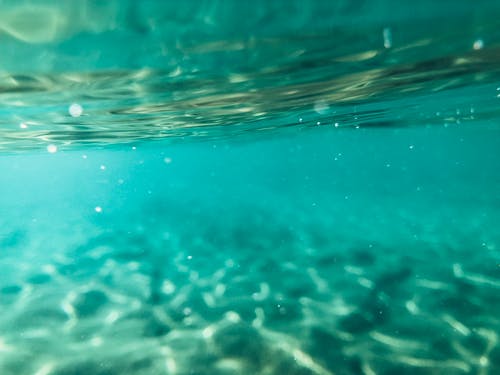 有关土耳其蓝, 水下, 水面的免费素材图片