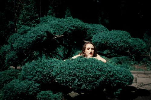 有关伤心, 公园, 周到的免费素材图片