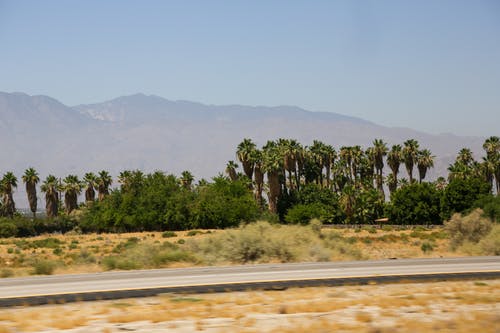 有关乾旱, 乾的, 冷静的免费素材图片