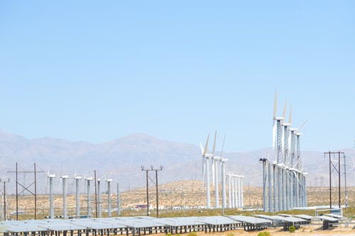 有关充满活力, 划船, 和谐的免费素材图片