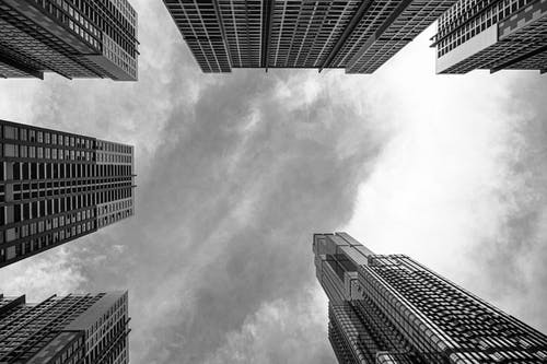 有关从下面看, 低角度拍摄, 单色的免费素材图片