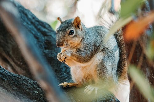 有关休息, 公园, 冷静的免费素材图片