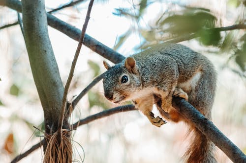 有关休息, 公园, 冷静的免费素材图片