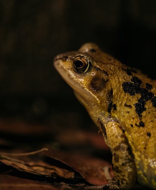 有关休息, 充满活力, 冷静的免费素材图片