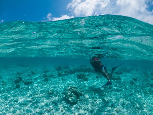 有关不露面, 人, 假期的免费素材图片