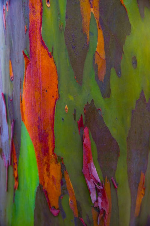 绿色橙色和蓝色抽象绘画 · 免费素材图片