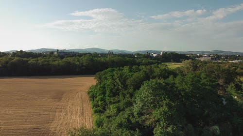 有关农艺学, 冷静, 和平的的免费素材图片