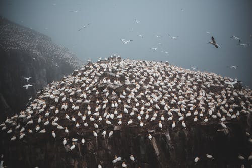 有关一起, 休息, 刚烈地的免费素材图片