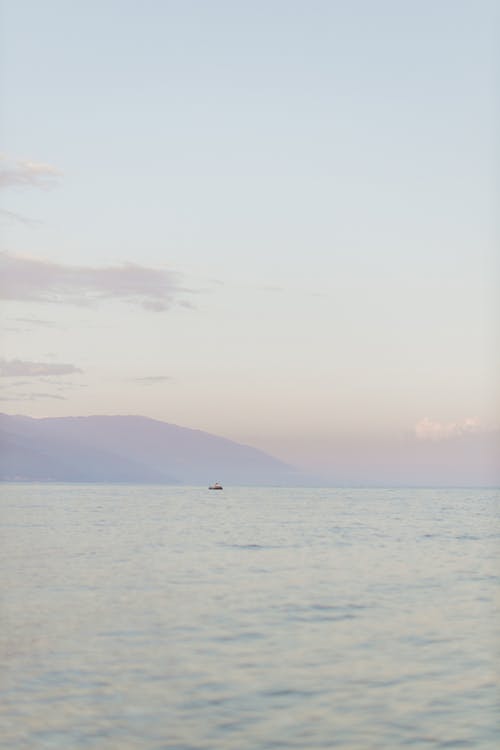 有关2, 一对, 人的免费素材图片