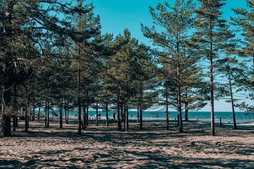 有关冷静, 原本, 和平的的免费素材图片