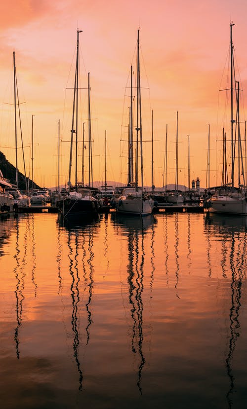 有关垂直拍摄, 日出, 日落的免费素材图片