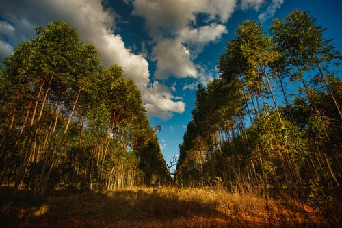 有关充满活力, 冷静, 划船的免费素材图片
