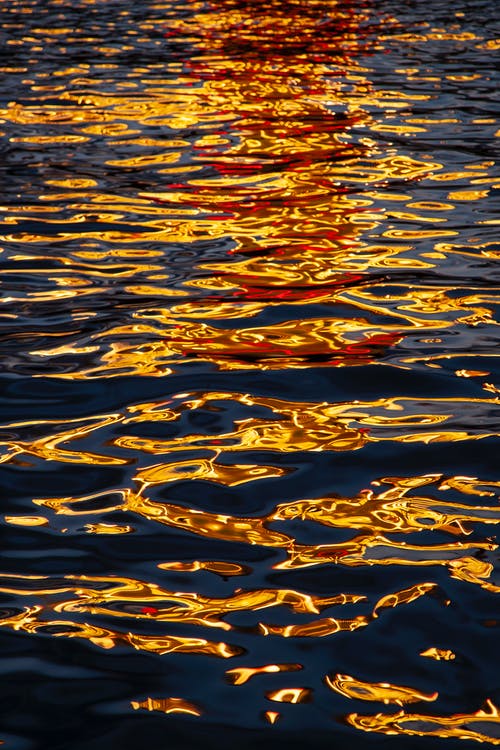 有关反射, 垂直拍摄, 水的免费素材图片