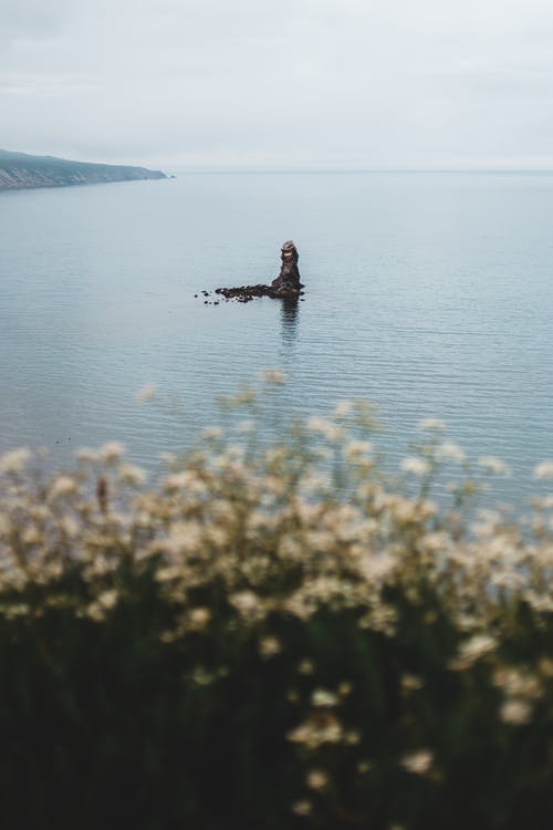 有关Copyspace, 不变, 华丽的的免费素材图片