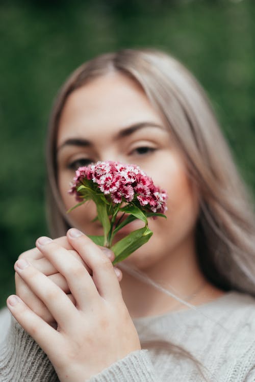 女性嗅到鲜花土耳其康乃馨 · 免费素材图片
