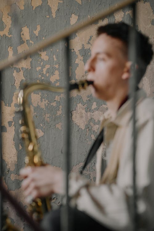 有关嗜好, 天赋, 学生的免费素材图片