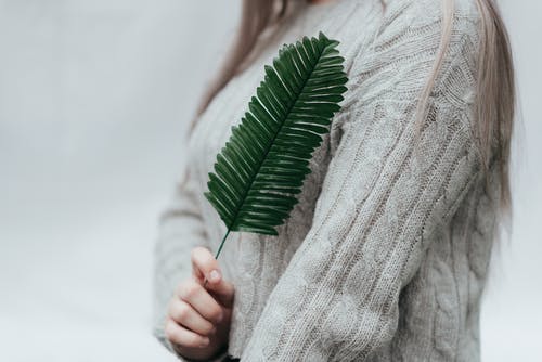 女性举起手与蕨绿叶 · 免费素材图片