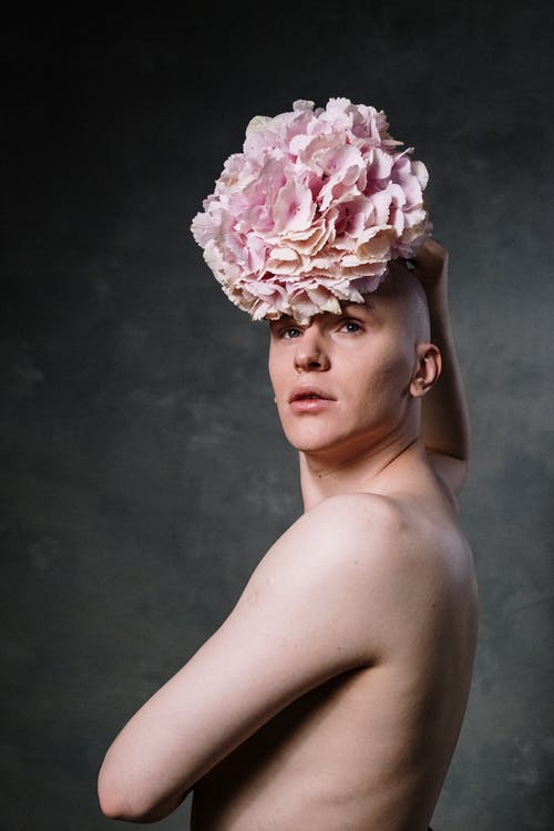 有关产物, 人, 假发的免费素材图片