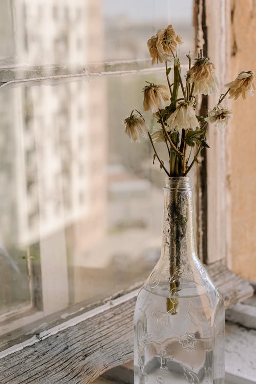 透明玻璃花瓶中的白花 · 免费素材图片