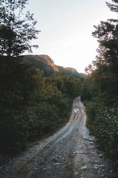 有关人行道, 公园, 和平的的免费素材图片