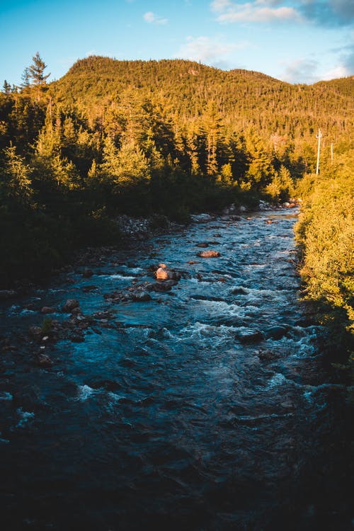 有关下落, 华丽的, 和谐的免费素材图片