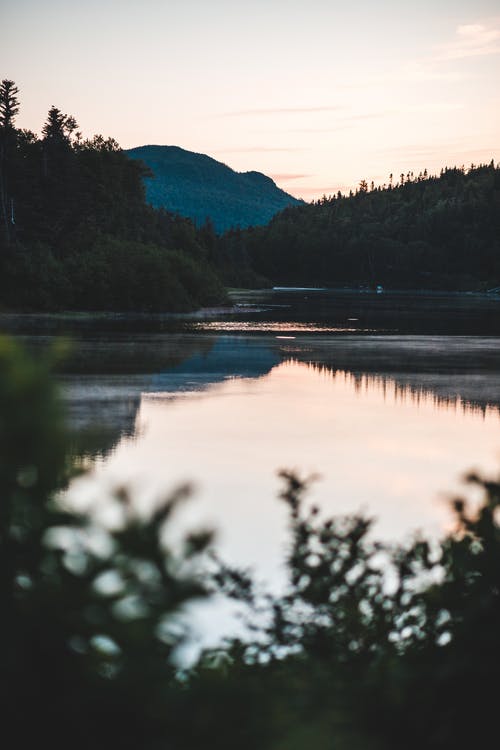 有关公园, 反射, 和平的的免费素材图片