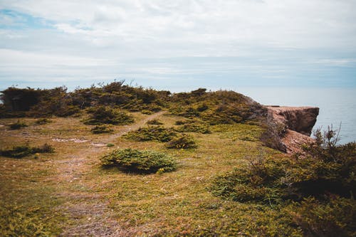 有关Copyspace, 不变, 华丽的的免费素材图片