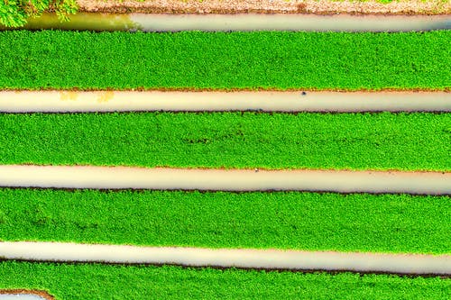 有关图案, 地平线, 地毯的免费素材图片