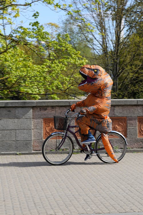 有关不露面, 享受, 人的免费素材图片