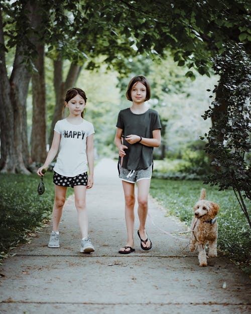 有关一起, 休息, 伴侣的免费素材图片