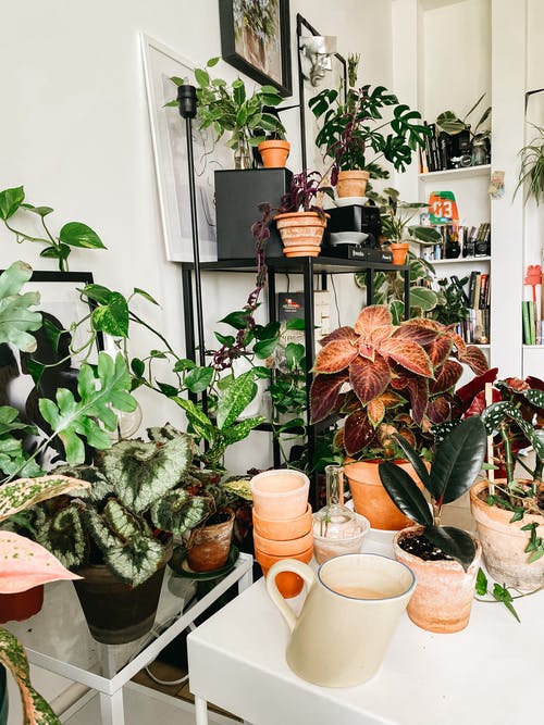 有关不一样, 作文, 内部的免费素材图片