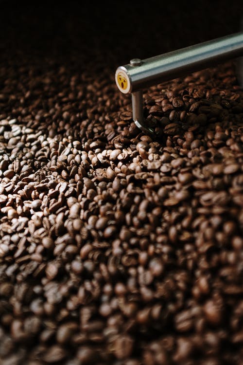 黑色和棕色咖啡豆 · 免费素材图片