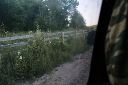 有关休闲, 公路旅行, 冒险的免费素材图片