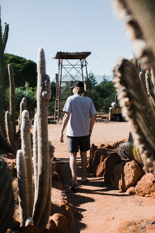 有关不露面, 人, 人行道的免费素材图片