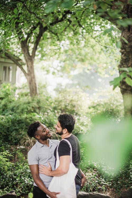有关LGBTQ, 一对, 公园的免费素材图片
