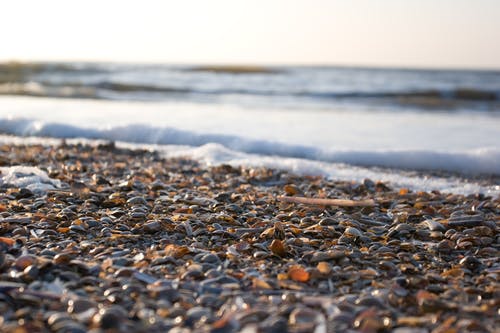 有关卵石, 海滨, 海滩的免费素材图片