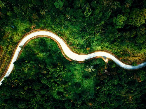 有关不变, 华丽的, 和谐的免费素材图片