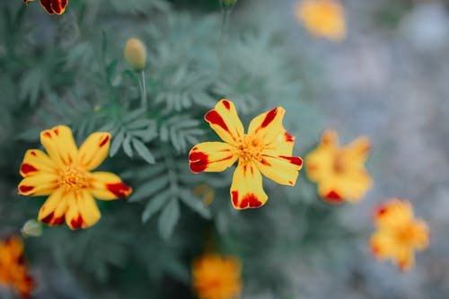 有关充满活力, 公园, 冷静的免费素材图片